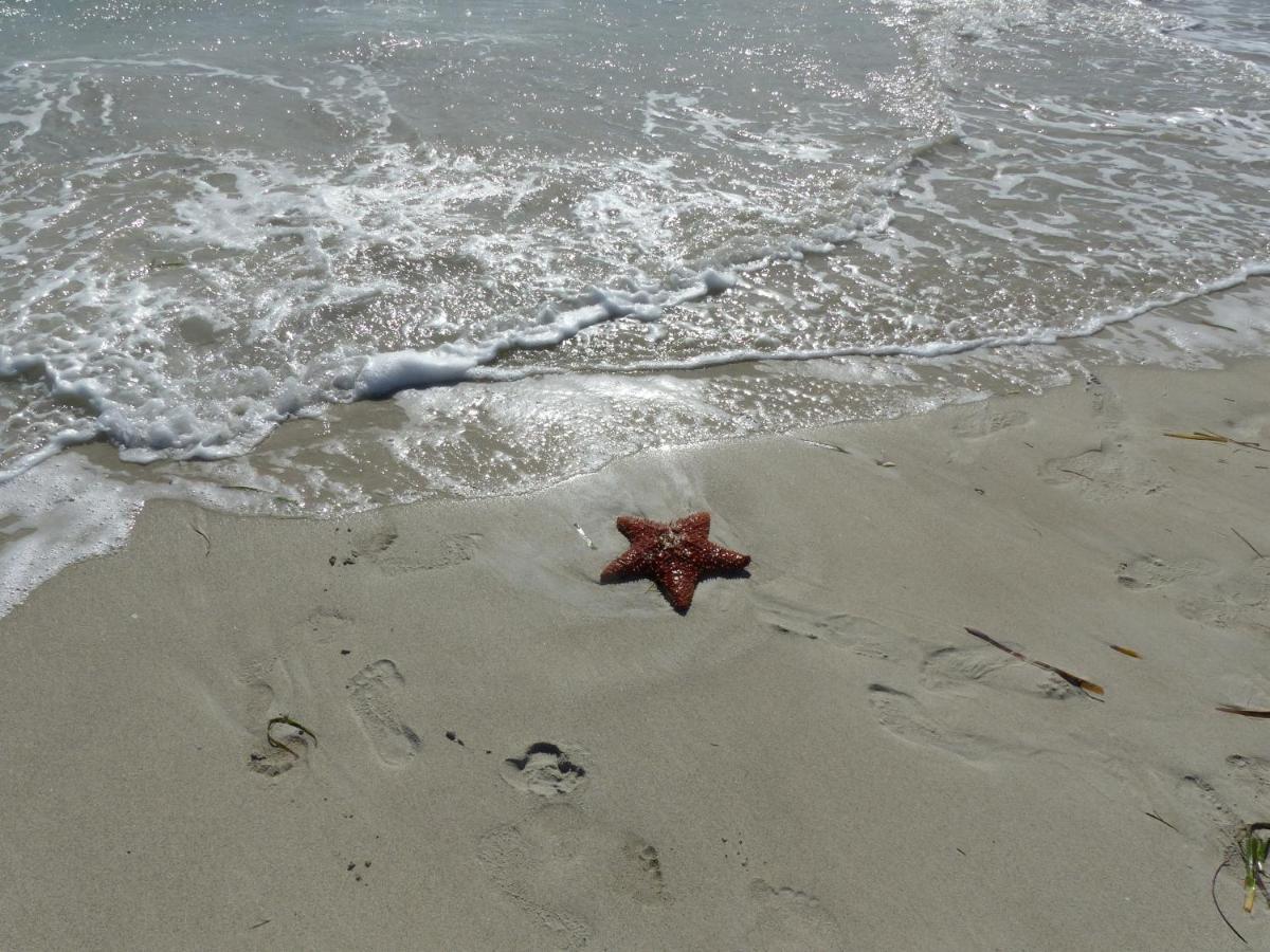 Kleiner Seestern Κουξχάφεν Εξωτερικό φωτογραφία